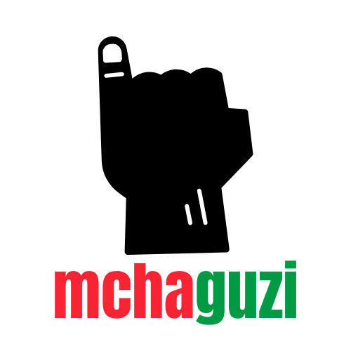 Mchaguzi